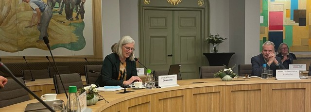 2022-02-18 Geartsje Horjus in gemeenteraad.jpg