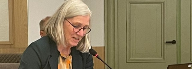 Geartsje - raadsvergadering